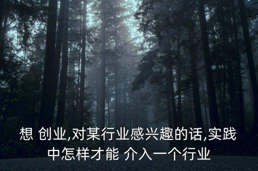 想 創(chuàng)業(yè),對(duì)某行業(yè)感興趣的話,實(shí)踐中怎樣才能 介入一個(gè)行業(yè)