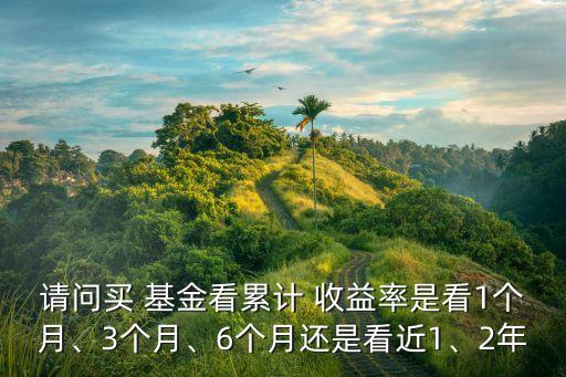 請問買 基金看累計 收益率是看1個月、3個月、6個月還是看近1、2年