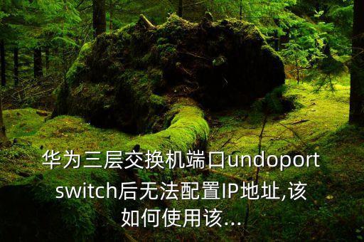 華為三層交換機(jī)端口undoportswitch后無(wú)法配置IP地址,該如何使用該...