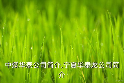 寧夏中煤華泰公司簡介,寧夏華泰龍公司簡介