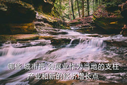 哪些 城市把 會展業(yè)作為當(dāng)?shù)氐闹еa(chǎn)業(yè)和新的經(jīng)濟(jì)增長點