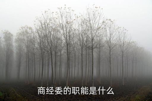 商務部投資規(guī)劃研究商務委員會