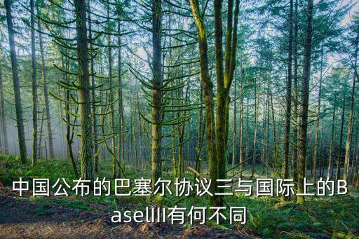 中國公布的巴塞爾協(xié)議三與國際上的BaselIII有何不同