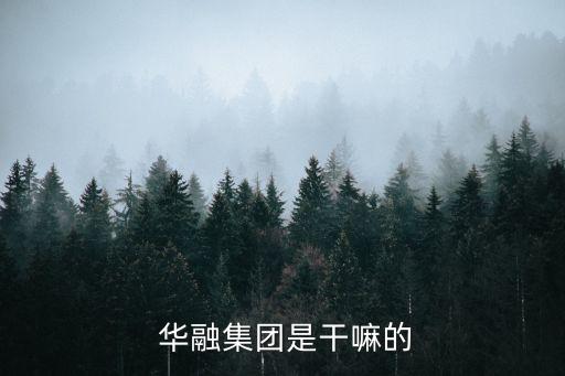  華融集團(tuán)是干嘛的