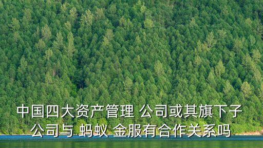 中國四大資產(chǎn)管理 公司或其旗下子 公司與 螞蟻 金服有合作關(guān)系嗎