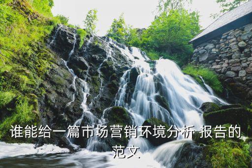 誰(shuí)能給一篇市場(chǎng)營(yíng)銷(xiāo)環(huán)境分析 報(bào)告的范文