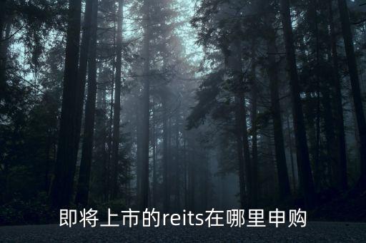 即將上市的reits在哪里申購