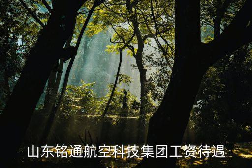 航空公司年終獎(jiǎng)