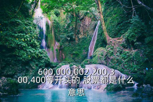 600,000,002,200,300,400等開頭的 股票都是什么意思