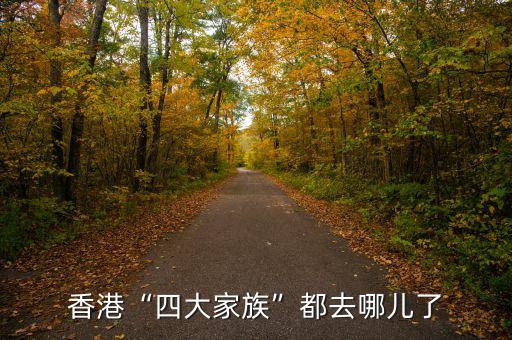 李嘉誠新公司注冊(cè)在那一個(gè)國家