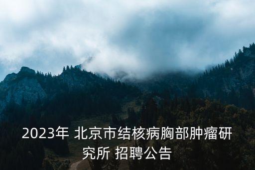 2023年 北京市結(jié)核病胸部腫瘤研究所 招聘公告