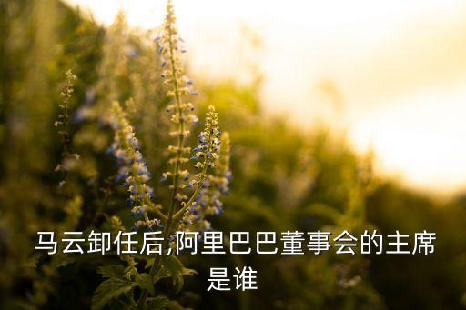  馬云卸任后,阿里巴巴董事會(huì)的主席是誰(shuí)