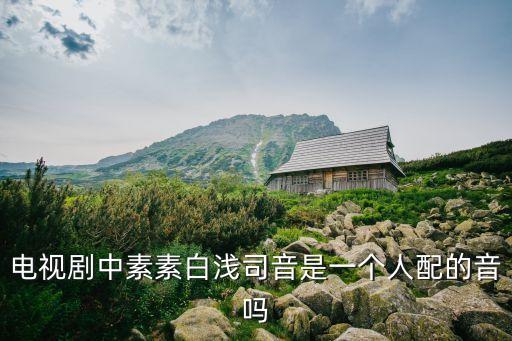 海寧國廣華策影視譯制有限公司