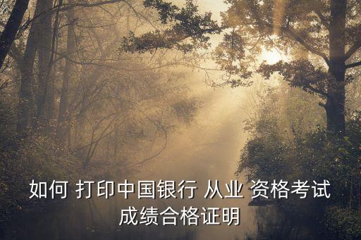 如何 打印中國銀行 從業(yè) 資格考試成績合格證明