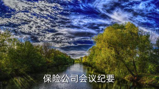 保險(xiǎn)公司會(huì)議紀(jì)要