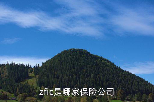 zfic是哪家保險(xiǎn)公司