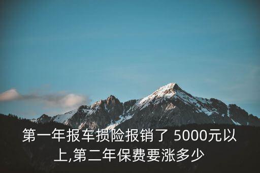 第一年報(bào)車損險(xiǎn)報(bào)銷了 5000元以上,第二年保費(fèi)要漲多少