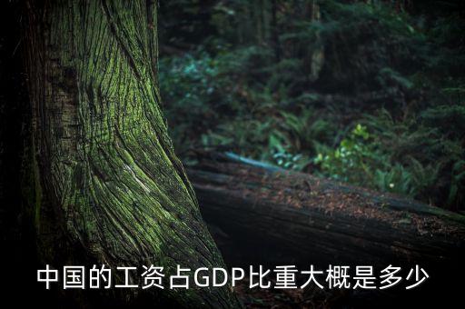 中國的工資占GDP比重大概是多少