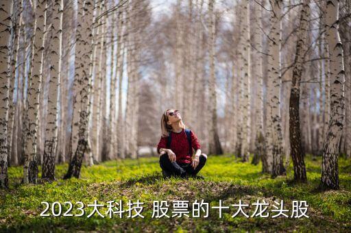 2023大科技 股票的十大龍頭股