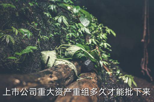 上市公司重大資產(chǎn)重組多久才能批下來