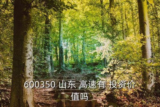 600350 山東 高速有 投資價值嗎