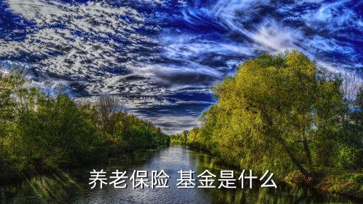  養(yǎng)老保險(xiǎn) 基金是什么