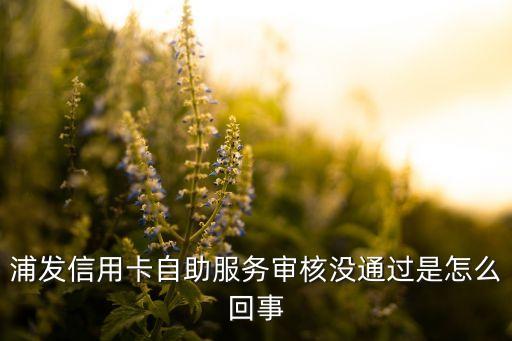 浦發(fā)信用卡自助服務(wù)審核沒(méi)通過(guò)是怎么回事