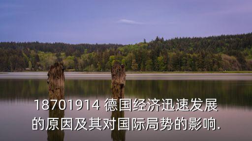 18701914 德國(guó)經(jīng)濟(jì)迅速發(fā)展的原因及其對(duì)國(guó)際局勢(shì)的影響.