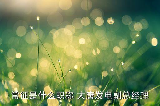 常征是什么職稱(chēng) 大唐發(fā)電副總經(jīng)理