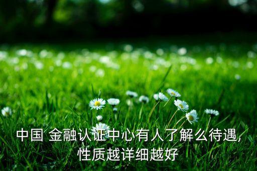 中國 金融認(rèn)證中心有人了解么待遇,性質(zhì)越詳細(xì)越好