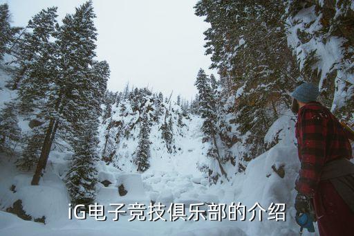 iG電子競(jìng)技俱樂部的介紹