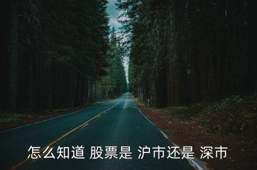 怎么知道 股票是 滬市還是 深市