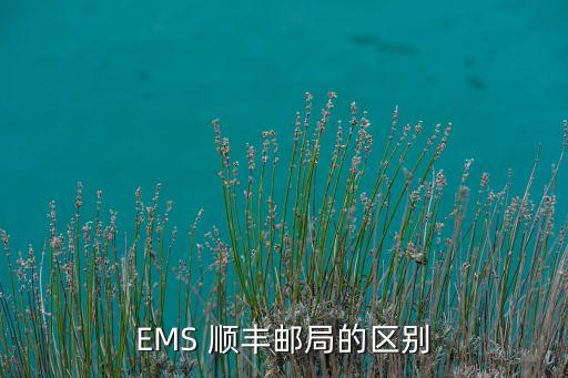 EMS 順豐郵局的區(qū)別