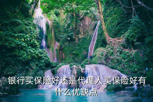  銀行買(mǎi)保險(xiǎn)好還是代理人買(mǎi)保險(xiǎn)好有什么優(yōu)缺點(diǎn)