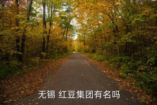  無(wú)錫 紅豆集團(tuán)有名嗎