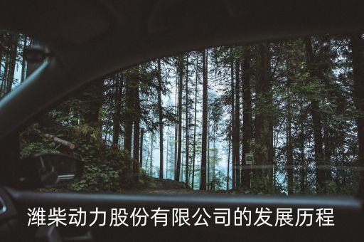 2008中國企業(yè)500強(qiáng),最新中國企業(yè)500強(qiáng)名單