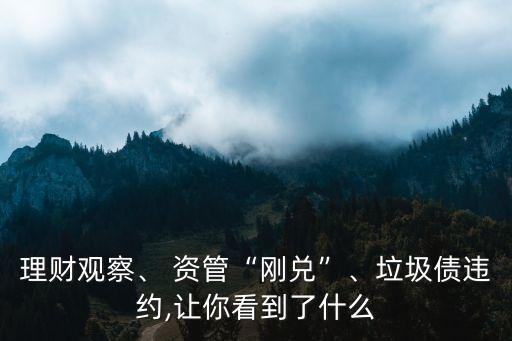 理財(cái)觀察、 資管“剛兌”、垃圾債違約,讓你看到了什么