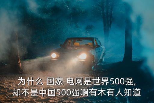 為什么 國家 電網(wǎng)是世界500強,卻不是中國500強啊有木有人知道