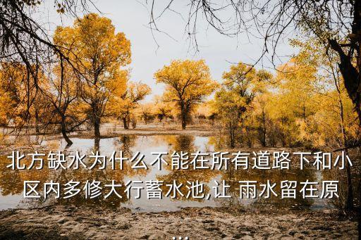 北方缺水為什么不能在所有道路下和小區(qū)內(nèi)多修大行蓄水池,讓 雨水留在原...