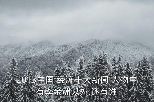 2013中國 經(jīng)濟十大新聞 人物中有李金洲以外,還有誰