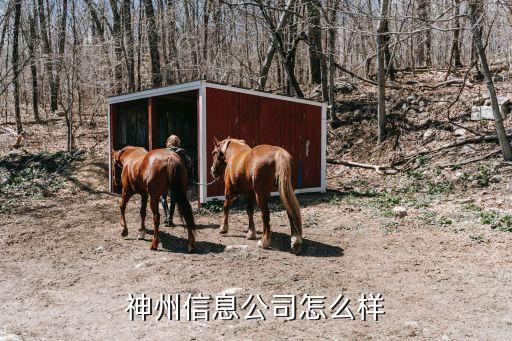 天津神舟股票,百濟(jì)神州股票