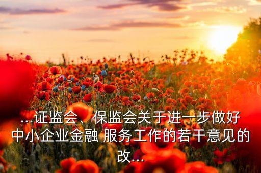 ...證監(jiān)會、保監(jiān)會關(guān)于進(jìn)一步做好中小企業(yè)金融 服務(wù)工作的若干意見的改...