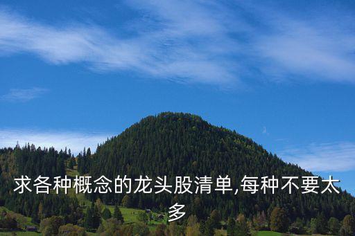 界龍實業(yè)公司