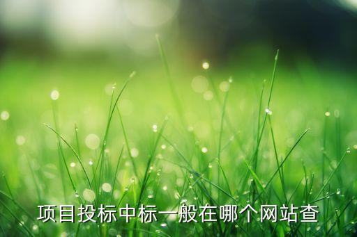 項(xiàng)目投標(biāo)中標(biāo)一般在哪個(gè)網(wǎng)站查