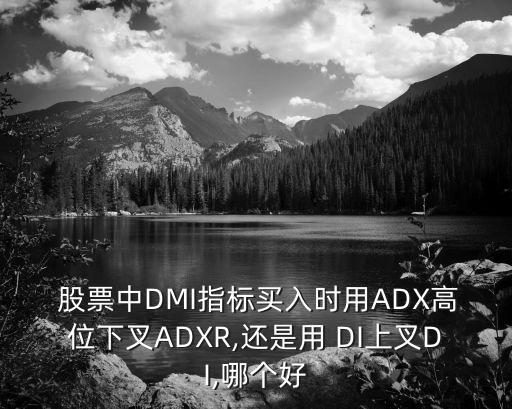  股票中DMI指標(biāo)買(mǎi)入時(shí)用ADX高位下叉ADXR,還是用 DI上叉DI,哪個(gè)好