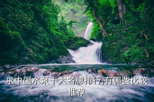 求中國(guó)水泵十大名牌排行,有哪些比較推薦