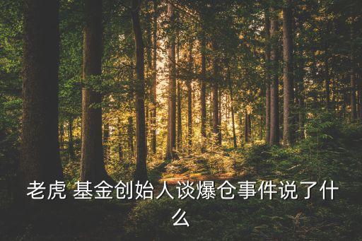 老虎基金陳小紅,H基金陳小紅