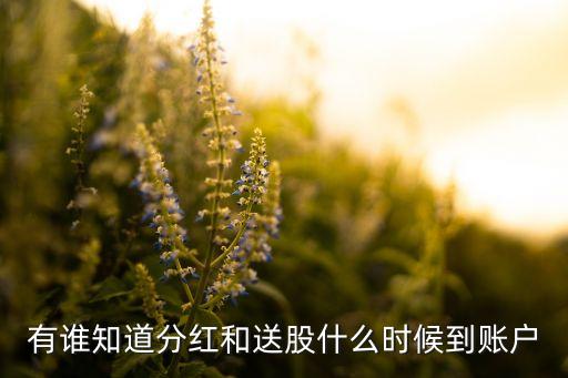 有誰(shuí)知道分紅和送股什么時(shí)候到賬戶(hù)