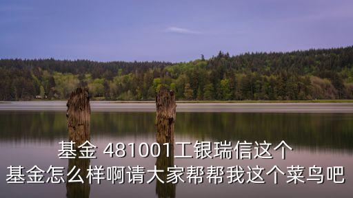  基金 481001工銀瑞信這個(gè) 基金怎么樣啊請(qǐng)大家?guī)蛶臀疫@個(gè)菜鳥吧