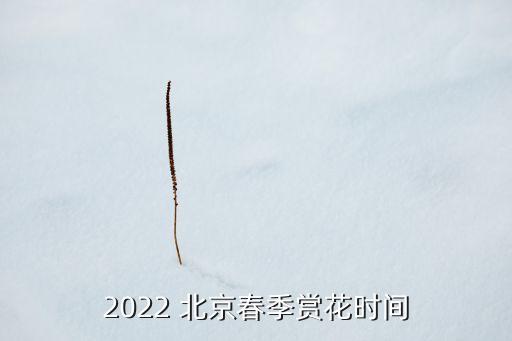 2022 北京春季賞花時(shí)間